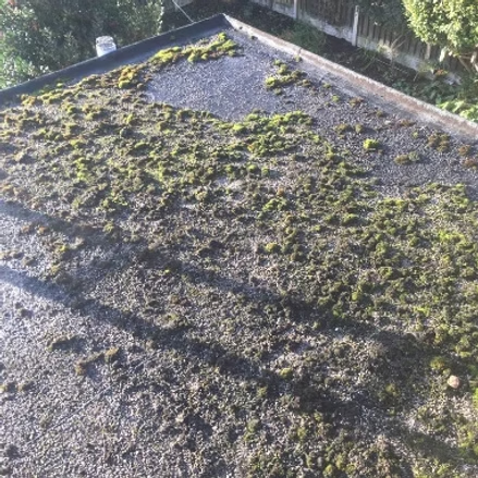 imgi_60_18c292_a35cecb64ff944e3b0e4f6eb46f51cbf~mv2